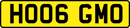 HO06GMO