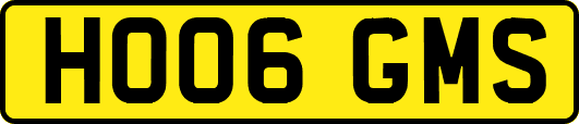 HO06GMS
