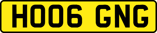 HO06GNG