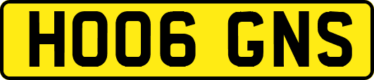 HO06GNS