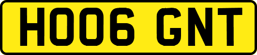 HO06GNT