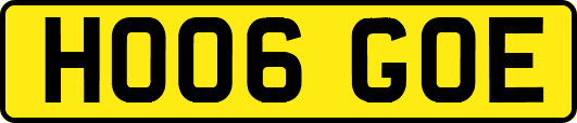 HO06GOE