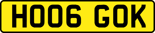 HO06GOK