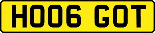 HO06GOT