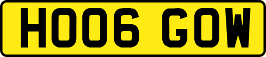 HO06GOW