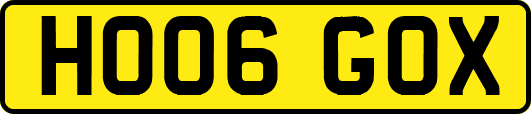 HO06GOX