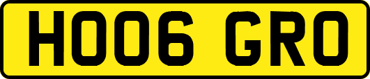 HO06GRO