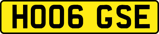 HO06GSE