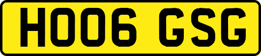 HO06GSG