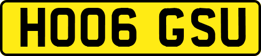 HO06GSU