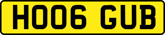 HO06GUB