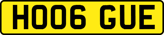 HO06GUE