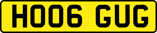 HO06GUG