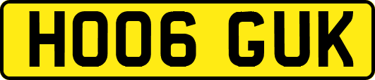 HO06GUK