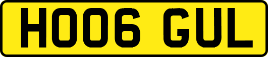 HO06GUL