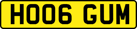 HO06GUM