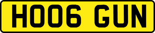 HO06GUN