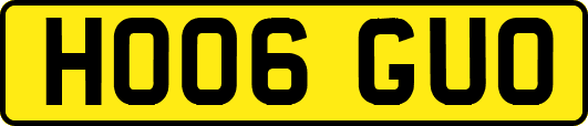 HO06GUO