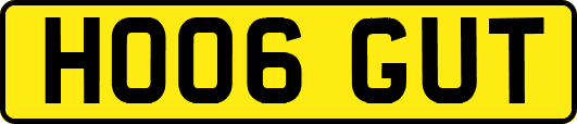 HO06GUT