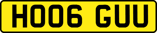 HO06GUU
