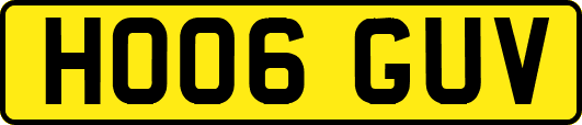 HO06GUV