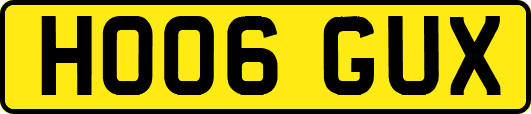 HO06GUX