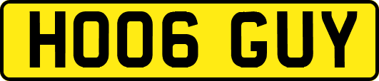 HO06GUY