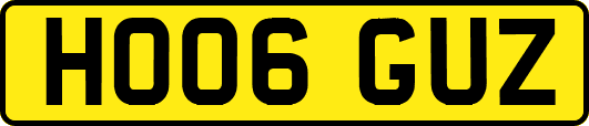 HO06GUZ