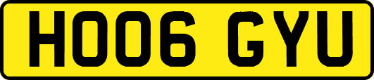 HO06GYU