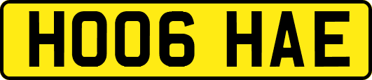 HO06HAE