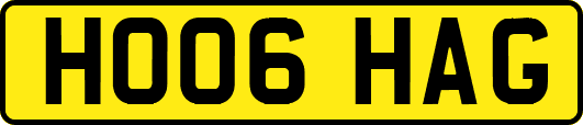 HO06HAG