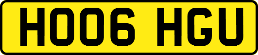 HO06HGU
