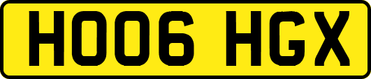 HO06HGX