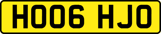 HO06HJO