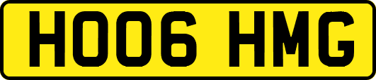 HO06HMG