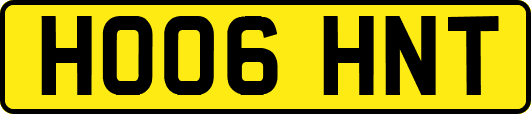 HO06HNT