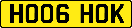 HO06HOK