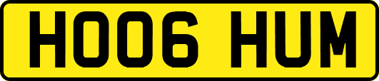 HO06HUM