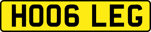 HO06LEG