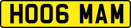 HO06MAM