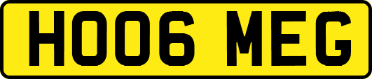 HO06MEG