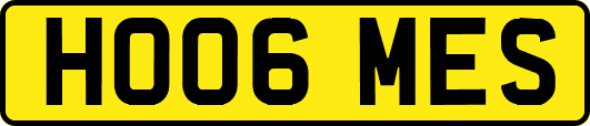 HO06MES