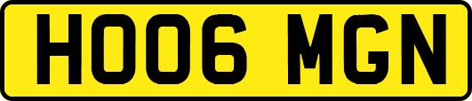 HO06MGN