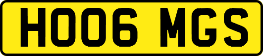 HO06MGS