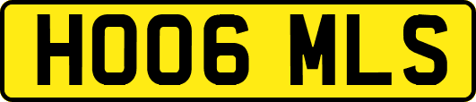 HO06MLS