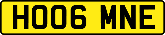 HO06MNE