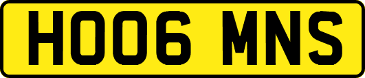 HO06MNS