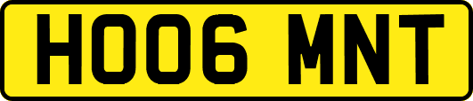HO06MNT