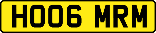 HO06MRM