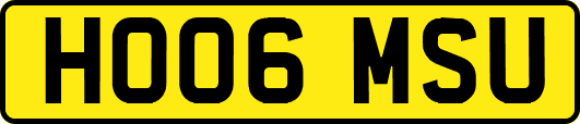 HO06MSU